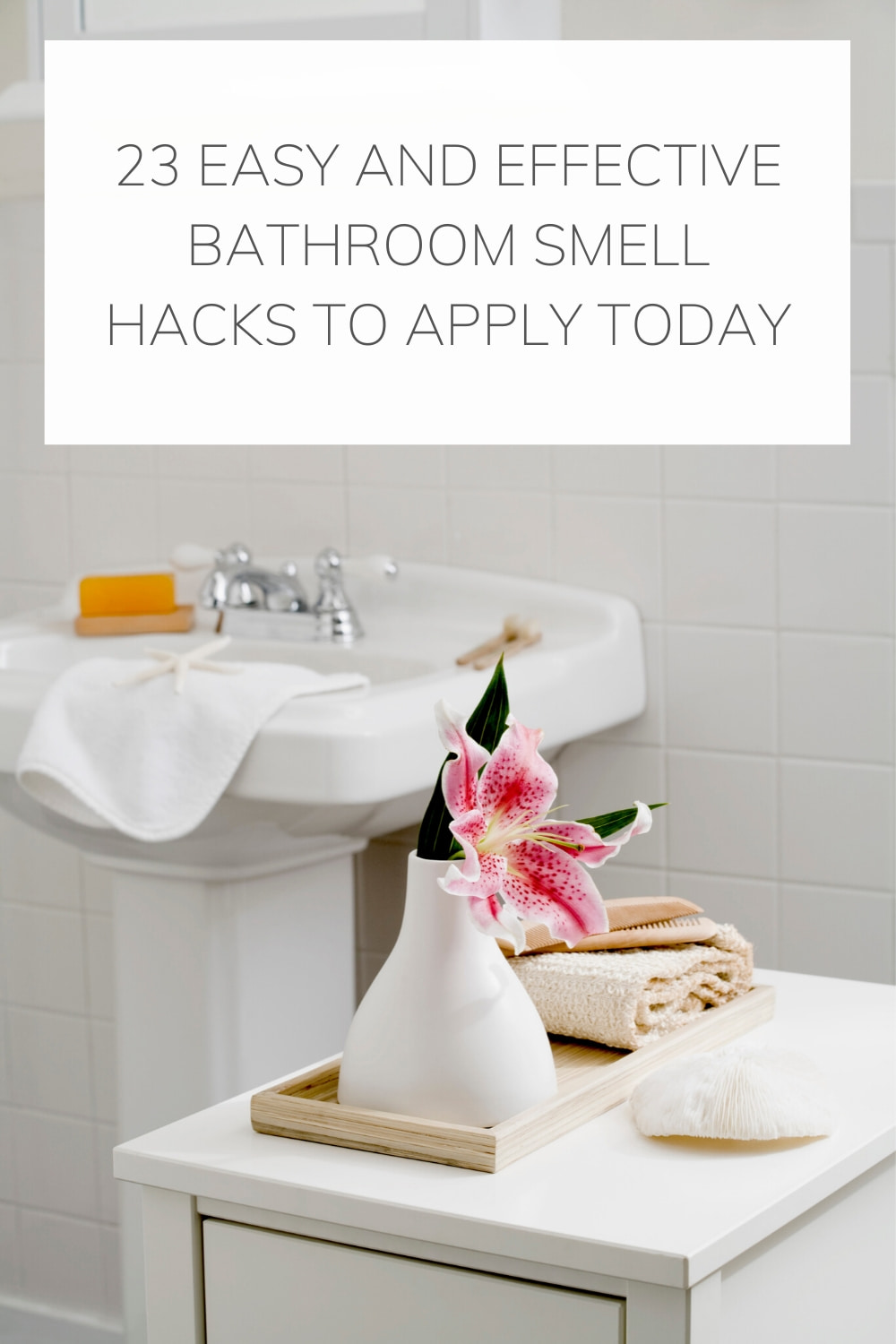 23 Easy and Effective Bathroom Smell Hacks to Apply Today