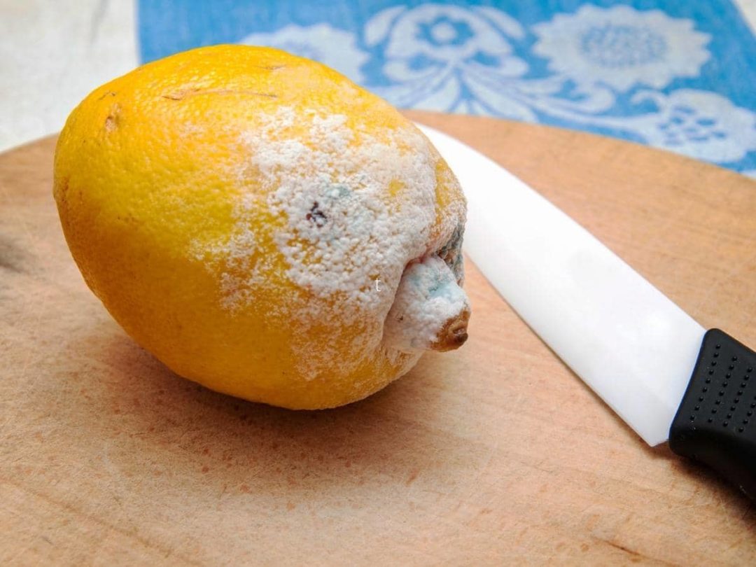 Will Lemon Juice Kill Mold at Barbara Coley blog