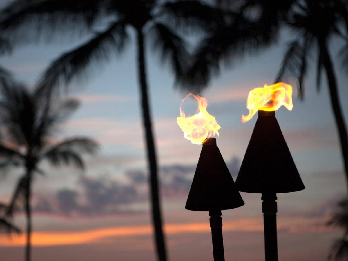 Can Tiki Torches Be Left Outside in the Rain? (Answered) OneHappyLemon