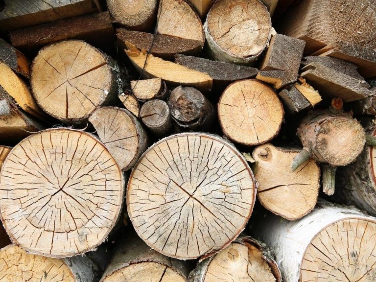 Can You Burn 2×4 Wood? (All You Need to Know)