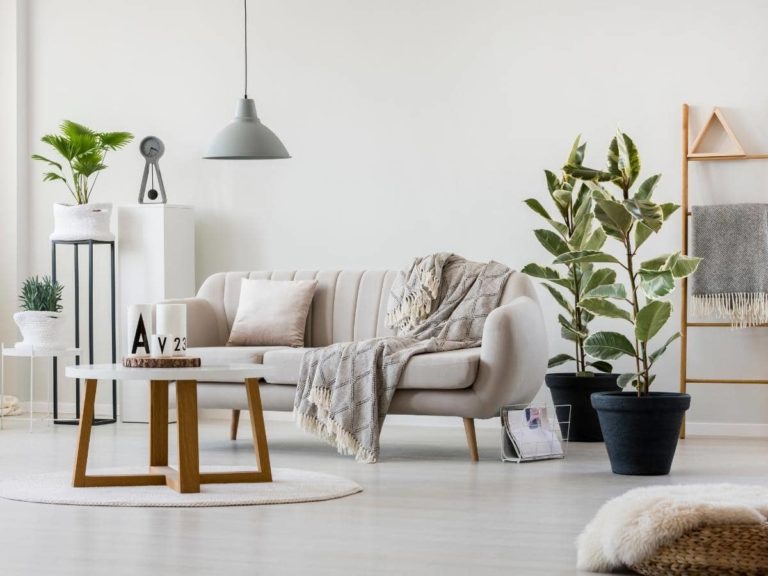 How Much Weight Can a Living Room Floor Hold? (Answered)