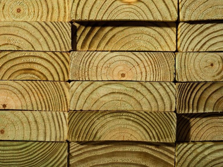 Can You Use Pressure Treated Wood for Framing? (Explained)