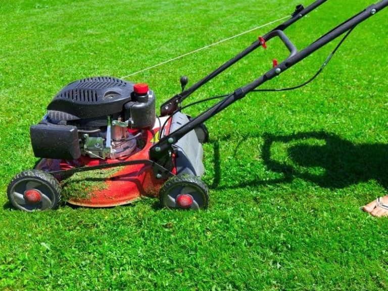 Do Lawn Mowers Have Oil Filters? (Explained)