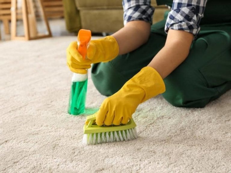 Will Ortho Home Defense Get Rid of Carpet Beetles?