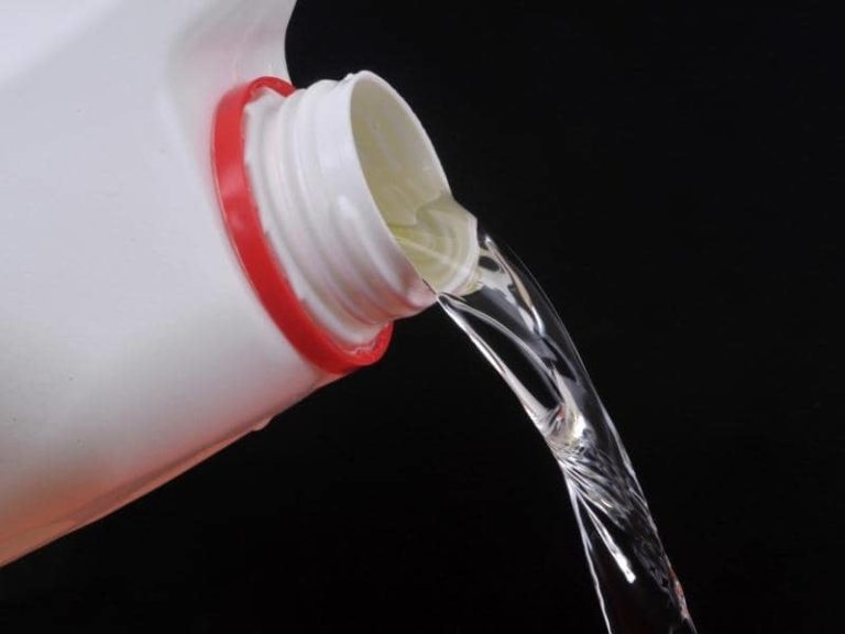 Does Bleach Get Rid of Gnats? (Quick Answers)