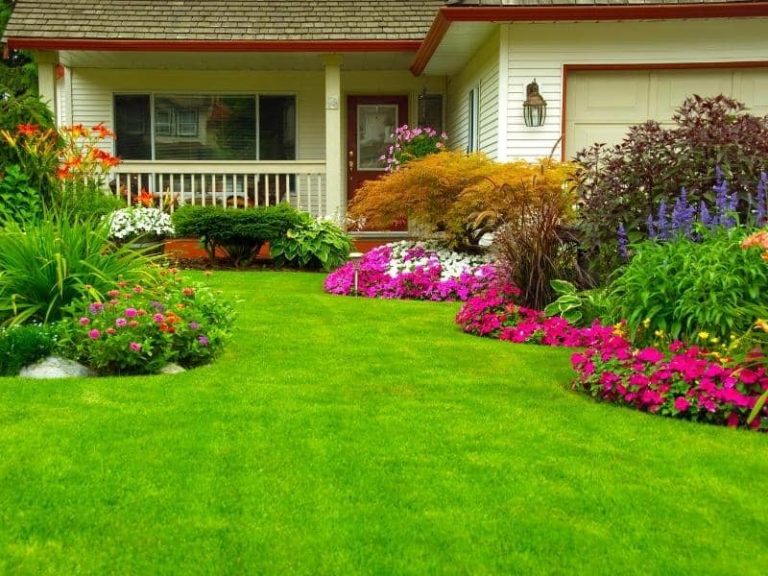 How Do You Get Rid of Rat Holes in the Yard? (Answered)